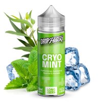 Drip Hacks Cryo Mint 10ml in 120ml Flasche